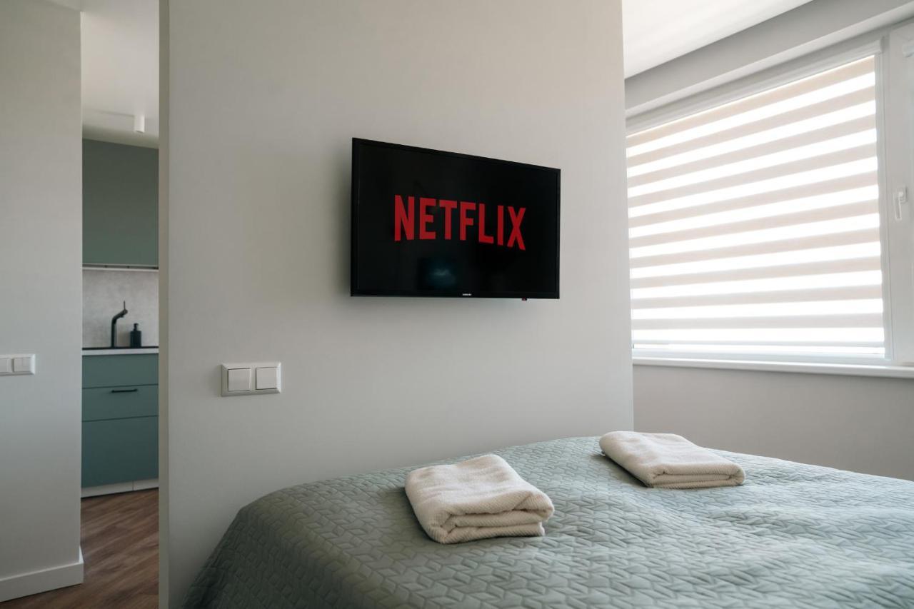 Grey Green Studio Apartment Бірштонас Екстер'єр фото
